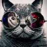 Scatterfong profil fotoğrafı