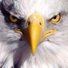 The Patriot ⚔☠🏴 的头像