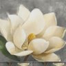 Steel Magnolia-'s profile picture