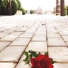 Фото профиля سُمية الدخيل
