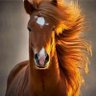 Profilbild von Jasmine1105