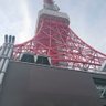 むーと profil fotoğrafı
