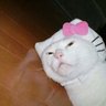ぽんたンメン🥸 profil fotoğrafı
