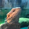Mbrooks's profile picture