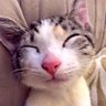 Kazza's profile picture