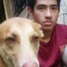 Rodrigo Torres 的头像