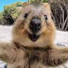MidoryiaSavesSome🐝 profil fotoğrafı