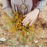 wateen syrian🍁 profil fotoğrafı