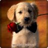 Pepa/♥️'s profile picture