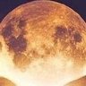 Mooning Everyone 🚀 ✌'s profile picture