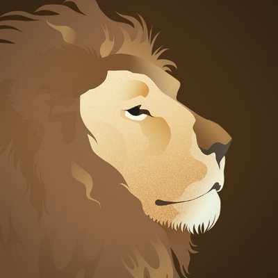 NarniaWeb's profile picture