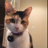 Rachel profil fotoğrafı