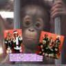 さゆプロ(オラターナ♥)永遠の木漏れ日 profil fotoğrafı