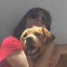 Silvia Ocampo's profile picture