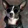 Profilbild von MeMoTRoNiC