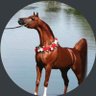🐎's profile picture