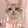 shidayday's profile picture
