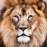 Alpha Nu Omega profil fotoğrafı