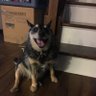 Kevin's profile picture