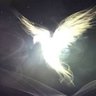 Profilbild von Holy Spirit