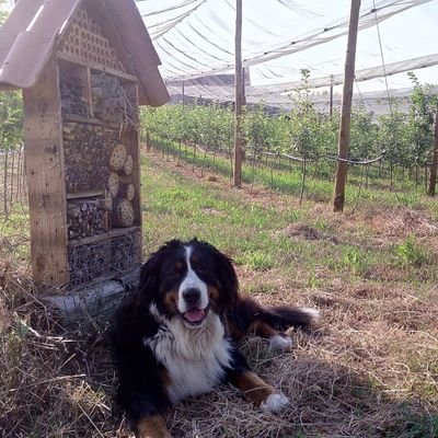Arnau Vilaseca's profile picture