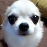 tana's profile picture
