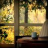 Фото профиля آيات