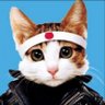★neko★ 的头像