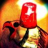 Rattus rattus's profile picture