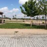 Profilbild von Mehmet yeşil