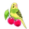 Profilbild von みきゃ