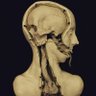 ƧЄñƠƦ ƠȤƇƲƦƠ's profile picture