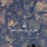 عبدالله's profile picture