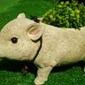 いずみん profil fotoğrafı