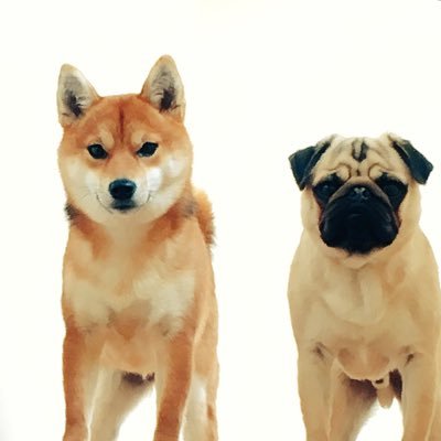 きたむら's profile picture
