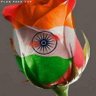 S.KinG's profile picture