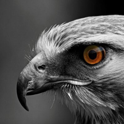 Hayfield Football Fan's profile picture