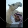 خالد الحنيني profil fotoğrafı