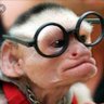 optimista pero realista profil fotoğrafı