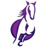 Фото профиля Paul Dewey I.S.M. Racehorse Pedigree Analyst