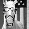 I'm an Extremely Stable Genius 2!🌊🌊🌊 profil fotoğrafı