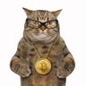 Фото профиля C_for_crypto🇺🇸
