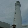 Фото профиля takamatsu
