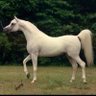 Фото профиля عابر سبيل …🕊