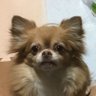 海苔マロ's profile picture