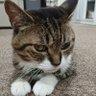 cerise329 profil fotoğrafı