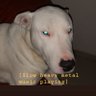 Retinoblastoma's profile picture