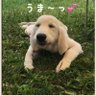 次郎 的头像
