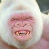 Profilbild von NanDo