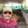 Rajesh Shah 的头像